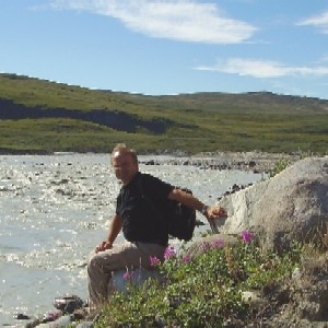 Snderstrmfjord med Grnlands nationalblomst i forgrunden